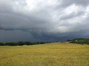 Farbspiel: Dunkle Wolken ziehen ber das Loddiner Hft.