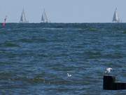 Auf der Horizontlinie: Segelboote auf der Ostsee bei Zempin.