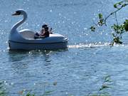 Kunststoffschwan: Mit dem Tretboot ber den Klpinsee.