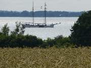 Konker Berg bei Pudagla: Segelschiff auf dem Achterwasser.