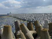 Alt und Neu: Alte und neue Beton-Tetrapoden im Osten von Swinemnde.