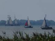 Unter dunklen Wolken: Drei Segelboote auf dem Achterwasser.