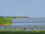 Ende des Usedomer Sandstrandes: Im Norden des Ostseebades Karlshagen.