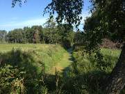 Zerninsenke auf Usedom: Meliorationsgraben im Zerninmoor.