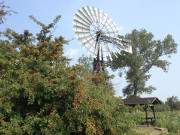 Thurbruch im Usedomer Hinterland: Schpfwerk als technisches Denkmal.