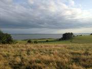 Landschaft am Achterwasser: Weideland auf dem Loddiner Hft.