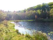 Der Mmmelkensee: Waldsee zwischen Bansin und ckeritz.