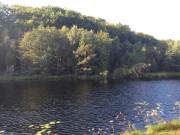 Blaues Wasser, grnes Laub: Der Mmmelkensee am Langen Berg.