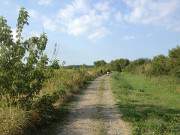 Radfahren im Usedomer Hinterland: Auf dem Achterwasserdeich bei Pudagla.