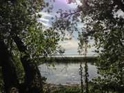 Tmpel im Schilf des Achterwassers: Halbinsel Gnitz auf Usedom.