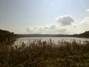 Blick nach Stubbenfelde: Der Klpinsee zwischen Klpinsee und Stubbenfelde.