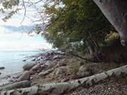 Unberhrte Natur: Ostseekste der Insel Vilm.