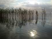 Lichtreflexe auf dem Achterwasser: Landschaft bei Neppermin.