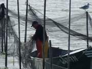 Fischernetze ordnen: Fischer in der Nhe von Ltow auf dem Gnitz.