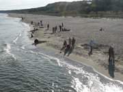 Strandwanderung: Urlaubsgste auf dem Sandstrand von Zinnowitz.