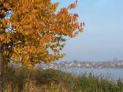 "Tor zur Insel Usedom": Hafenstadt Wolgast am Peenestrom.