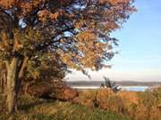 Urlaub auf Usedom: Herbstmotive auf dem Loddiner Hft.