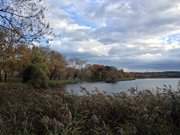 Wenige Meter von der Ostseekste entfernt: Der Klpinsee.