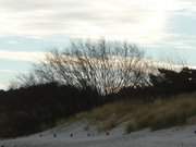 Auf dem Ostseestrand von Trassenheide: Wolken ziehen ber die Dne.