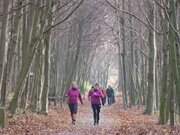 Kstenwanderweg: Wanderer und Lufer bei ckeritz.