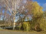 Bootsliegeplatz: Am Naturhafen von Krummin in Norden Usedoms.