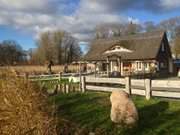 Hafenmeisterei: Sportboothafen an der Krumminer Wiek.