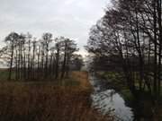 Wiesenland am Achterwasser: Meliorationsgraben bei Koserow.