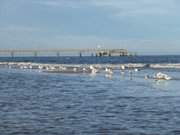 Seebrcke des Ostseebades Bansin von Heringsdorf aus gesehen.