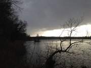 Schwaneninsel im Klpinsee: Dezembertag im Seebad Loddin.