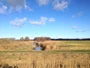 Halbinsel Gnitz: Weideland und Meliorationsgrben.