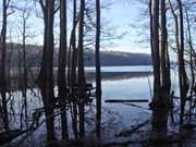 Hochwasser: Bank am (im) Wolgastsee im Usedomer Hinterland.