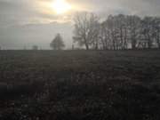 Ein Meer aus Tautropfen: Wiesenland am Seebad Loddin.