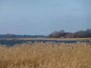 Das Achterwasser am Seebad Zempin auf Usedom.