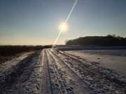 Wanderung im Winter ber die Usedomer Mitte: Deich am Achterwasser.