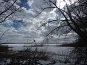 Bucht am Achterwasser: Winterlandschaft auf der Halbinsel Gnitz.