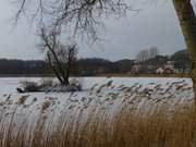 Die Schwaneninsel: Der Klpinsee im Usedomer Seebad Loddin.