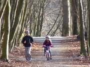 Aktivurlaub in der Inselmitte: Joggen und Radfahren im Kstenwald.