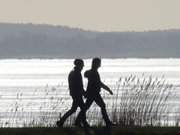 Wanderung auf dem Achterwassedeich: Urlaub im Seebad Loddin.