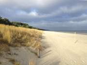 Die Farben des Winters: Strandhafer auf der Dne von Trassenheide.