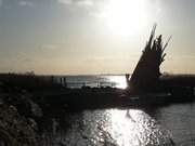 In der Nachmittagssonne: Bnke am Achterwasserhafen Zempin.