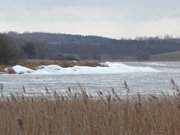 Zwischen Stagnie und Pudagla: Eisschollen am Achterwasserdeich.