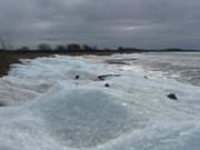 Glitzernde Kristalle am Achterwasser: Eisaufschiebungen bei Pudagla.