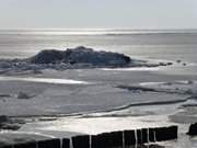 Eisberge auf dem Stettiner Haff: Buhne bei Kamminke.