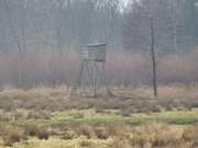 Jagd auf Usedom: Ansitz auf der "Freien Seeg" bei Neuendorf.