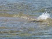 Am Strand von Koserow: Das Ostseewasser ldt zum frhen Bad.