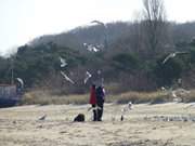 Mwenfttern: Wanderung am Ostseestrand von Trassenheide.