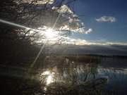 Naturpark Insel Usedom: Landschaft am Achterwasser bei Neppermin.