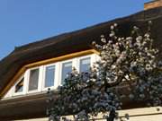 Gaubenfenster: Traditionelles Schilfdach auf einem Haus in Loddin.