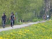 Auf dem Rad Usedom erkunden: Der Kstenradweg nahe Ltten Ort.