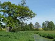 Usedomer Hinterland: Weite Wiesenlandschaft am Wasserschloss Mellenthin.